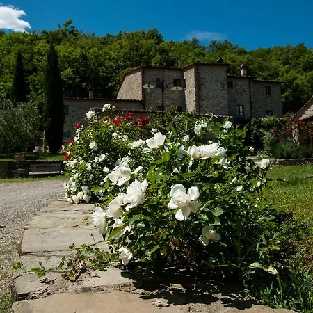 Agriturismo Azienda Agricola Il Pozzo-2